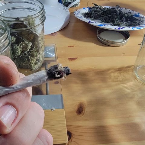 JB grow #1 growlog photo: Processed and stored buds into pint curing jars with 62% boveda packs. I smoked a joint made from sugar leaves and it tasted great and alleviated my body pains. It was super potent and completely exceeded my expectations.