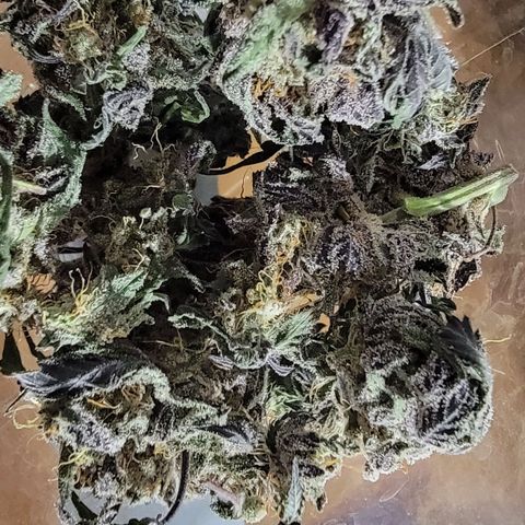 JB grow #1 growlog photo: Processed and stored buds into pint curing jars with 62% boveda packs. I smoked a joint made from sugar leaves and it tasted great and alleviated my body pains. It was super potent and completely exceeded my expectations.