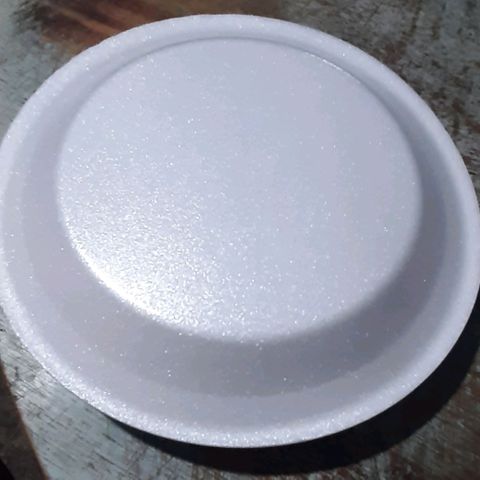 Chalupa - Alvaro  growlog photo: El domingo 20 de noviembre se procedió a iniciar con la germinacion de las semillas, utilizando el método de ponerlas dentro de servilletas humedecidas con agua destilada, y posteriormente se procedió a taparlas con platos y colocarlas en un lugar oscuro.