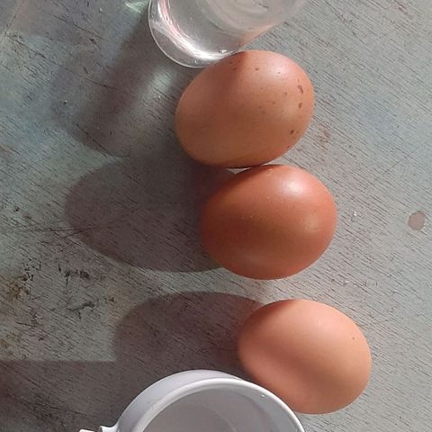 Chalupa - Alvaro  growlog photo: El miércoles 4 de enero, se pudo evidenciar un color amarillo en las hojas, el cual es un indicador de deficiencia de calcio, por lo que se procedió a aplicar un preparado de cascara de huevo.