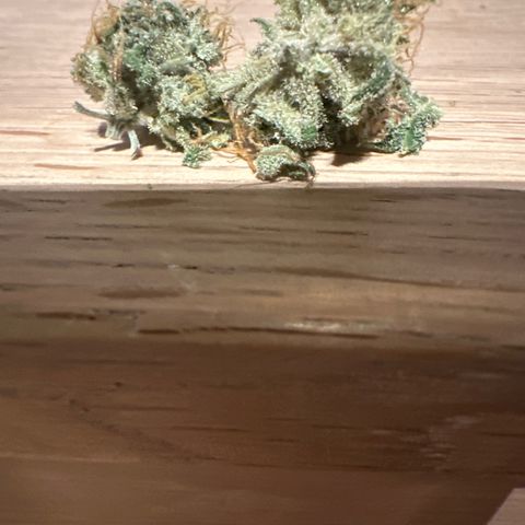Amnesia Haze Auto growlog timeline photo