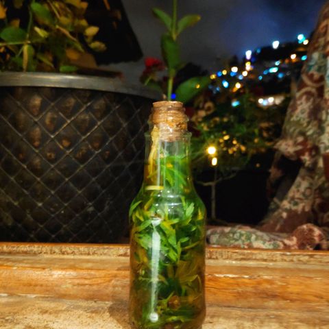 Genética desconocida growlog photo: Tintura con aceite de oliva.