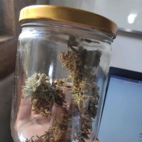 Genética desconocida growlog photo: Curado de cannabis apartado.