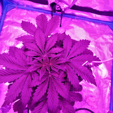 Tita growlog timeline photo
