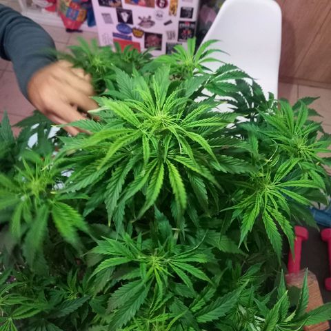 Tita growlog timeline photo