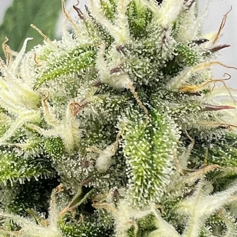 Wedding Cheesecake ❤️ growlog timeline photo