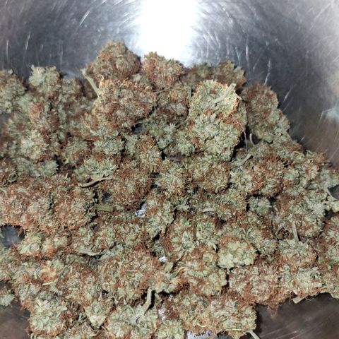 Gorilla Cookies Auto FastBuds growlog photo: 26.8g