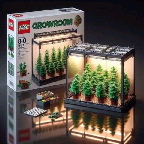 Helga growlog timeline photo