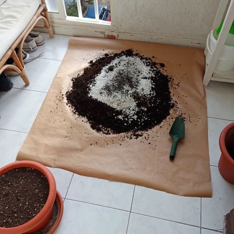 AK-49 Auto #1 growlog photo: Prepping the soil mix for the transplant tomorrow.