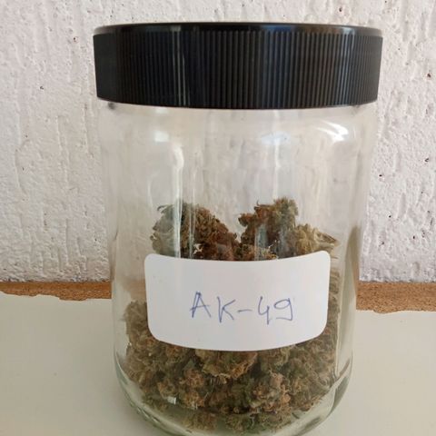 AK-49 Auto #1 growlog photo: Harvested the AK's last weekend, after 4 days of drying its curing now. Nice addition to my collection. Nice strain but wasn´t that easy to grow, I actually did better last year. Outcome is still good, nice punchy aroma.