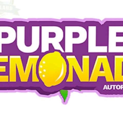 PURPLE LEMONADE AUTO growlog photo