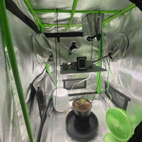 Alice growlog photo: New humidifier and fans added