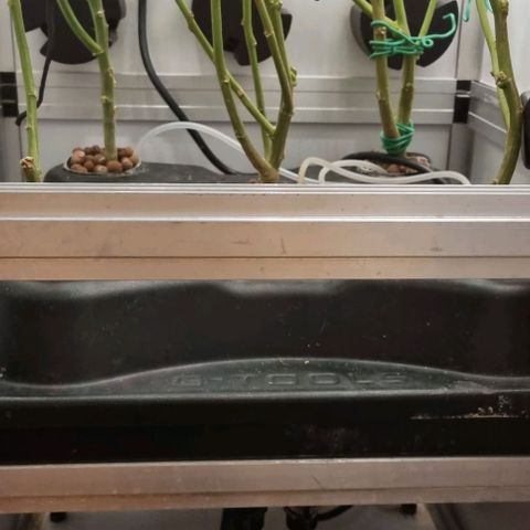 New Hope #1 growlog timeline photo