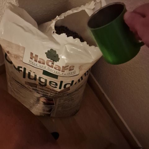 Special Queen #1 growlog photo: One cup per 2,5l 