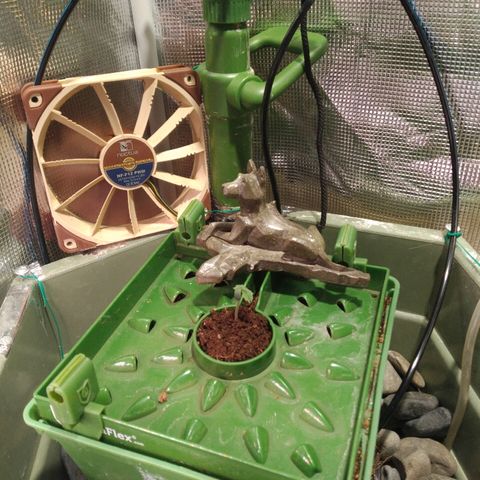 Jack 47 XL Auto growlog timeline photo