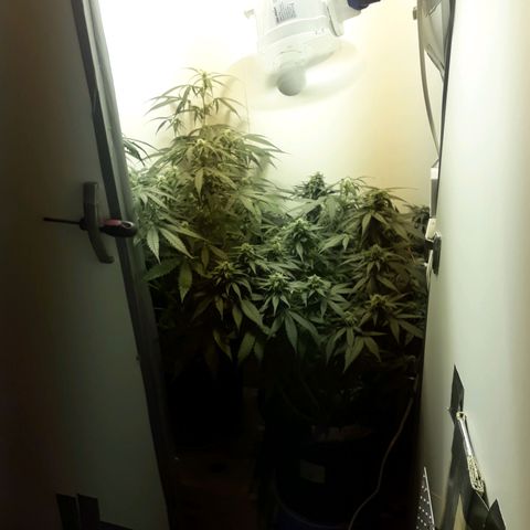 #3 Slutty mama  growlog timeline photo