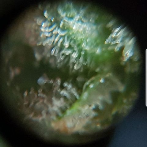 #2 Åse growlog timeline photo