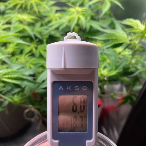 Gorilla Cookies growlog timeline photo