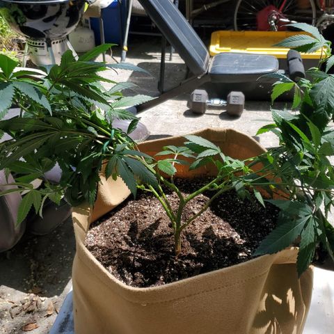 Gary P growlog timeline photo