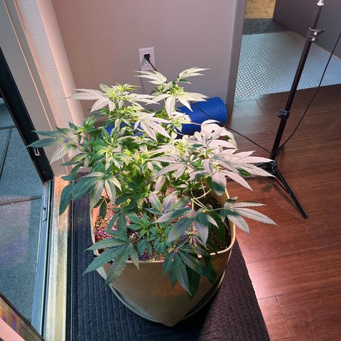 Gary P growlog timeline photo