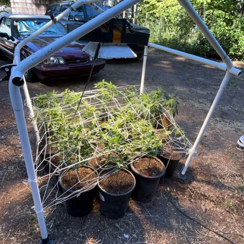 Gary P growlog timeline photo
