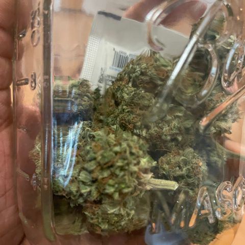 Gorilla glue 4 growlog timeline photo