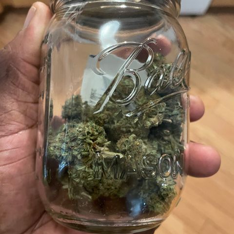Gorilla glue 4 growlog timeline photo