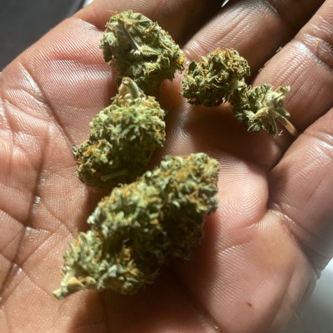 Gorilla glue 4 growlog timeline photo