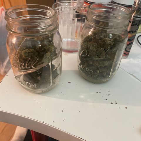 Little Ike,Decklyn, Sherwood  growlog photo: 15th day of curing (burping)