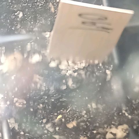 Og kush×5 kind seeds growlog photo: Og1, og4, og5
