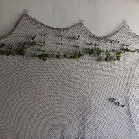 timeline