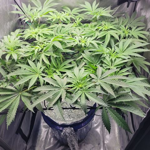 B2 growlog timeline photo