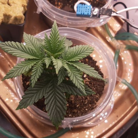 B2 growlog timeline photo