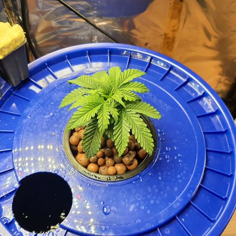 B2 growlog timeline photo