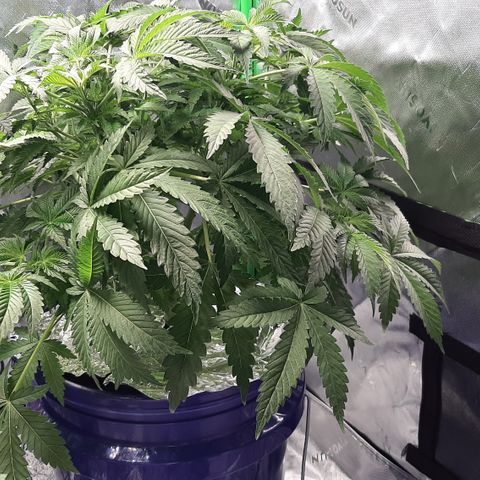 B2 growlog timeline photo