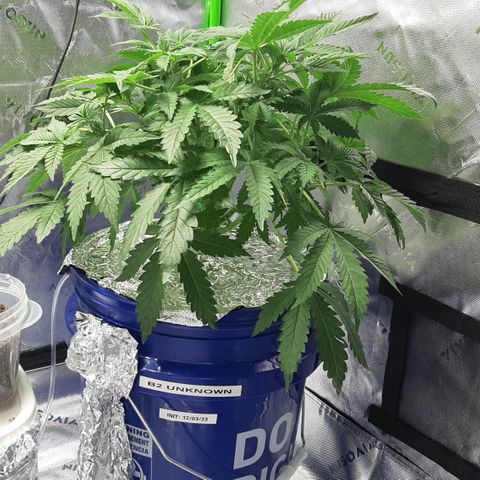 B2 growlog timeline photo