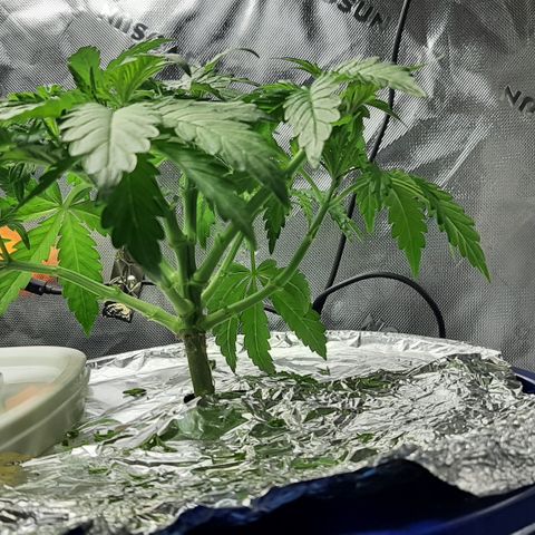 B2 growlog timeline photo