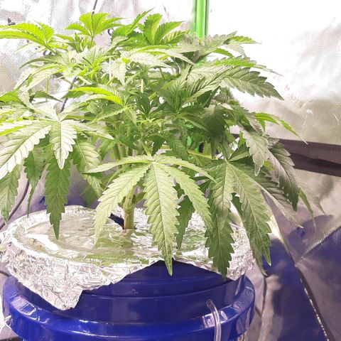 B2 growlog timeline photo