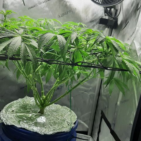 B2 growlog timeline photo