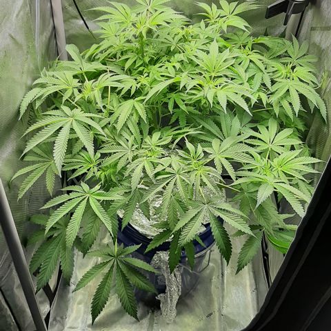 B2 growlog timeline photo