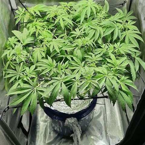 B2 growlog timeline photo