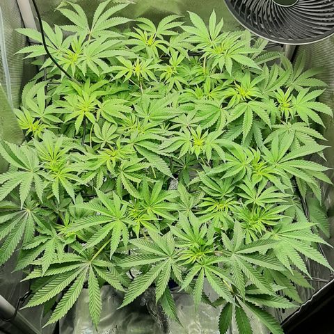 B2 growlog timeline photo