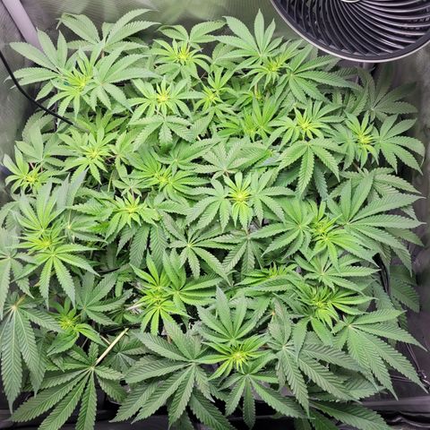 B2 growlog timeline photo