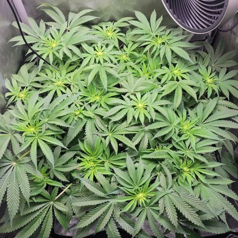 B2 growlog timeline photo