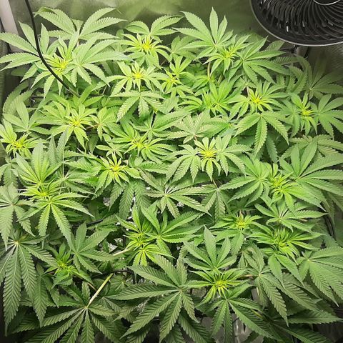 B2 growlog timeline photo