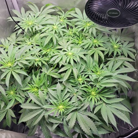 B2 growlog timeline photo