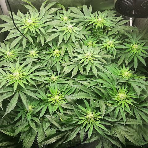 B2 growlog timeline photo