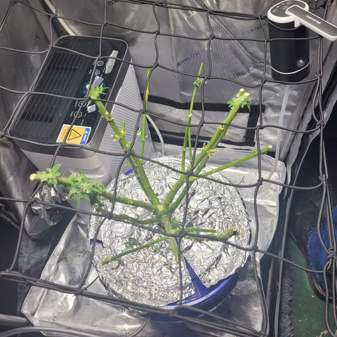 B2 growlog timeline photo