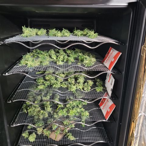 B2 growlog timeline photo