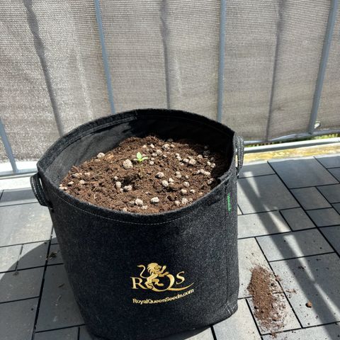 Magdalena growlog timeline photo